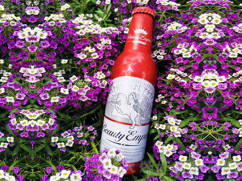 Ӣ�����������ƿơ�ơ�9��355ml��