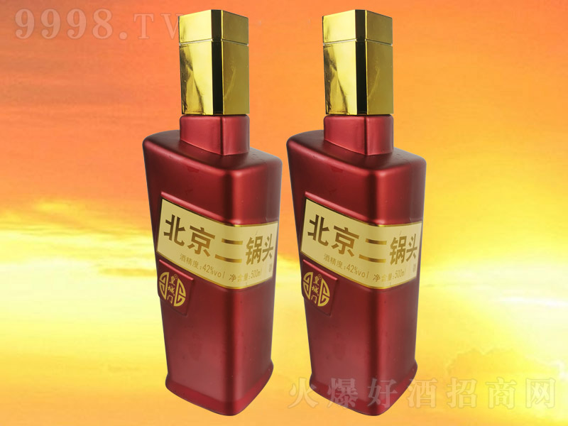 �ʳ��ű�������ͷ�ƺ�ƿ �����Ͱ׾ơ�42�� 500ml��