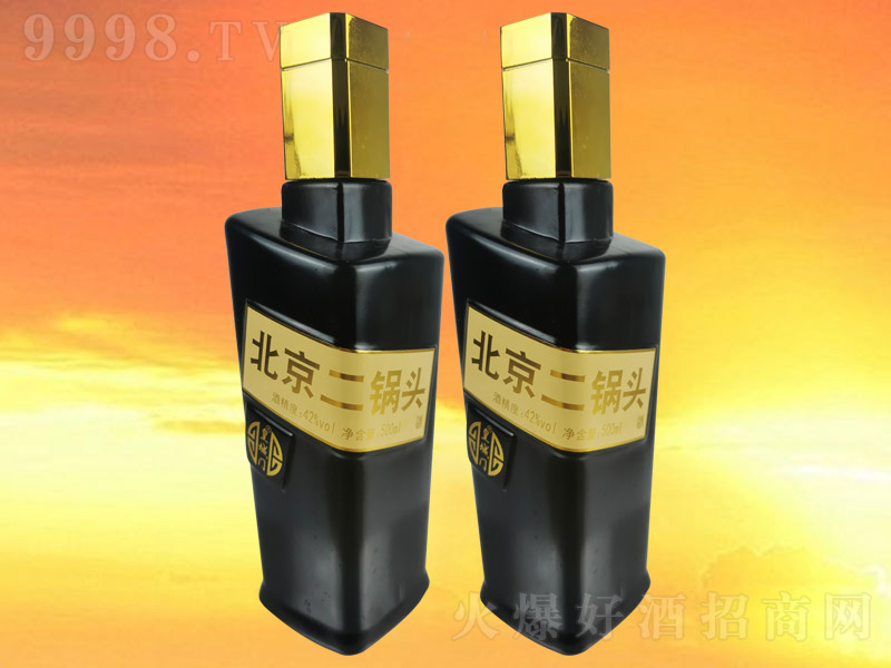 �ʳ��ű�������ͷ�ƺ�ƿ �����Ͱ׾ơ�42�� 500ml��
