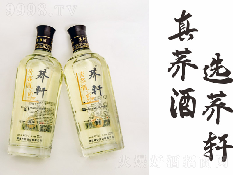 ��������ơ�����ƿƿ�н��� �����Ͱ׾ơ�42�� 500ml��