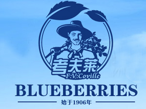 吉林省奇�Z莓�品有限公司