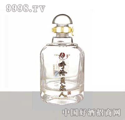 HJ-021-500ml߰ײƿ