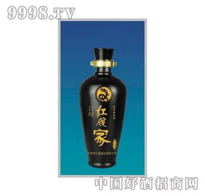 XY-554Ϳƿ500ml