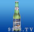 蓝贝冰爽啤酒（罐）-啤酒招商信息