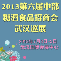 2013�������в��Ǿ�ʳƷ���̻��人Ѳչ