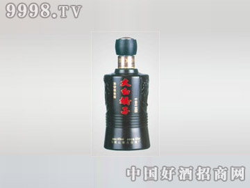 ʤƿ̫׽SLP-004-500ml