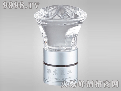 郓东玻璃酒瓶盖J-026（银灰凹型）