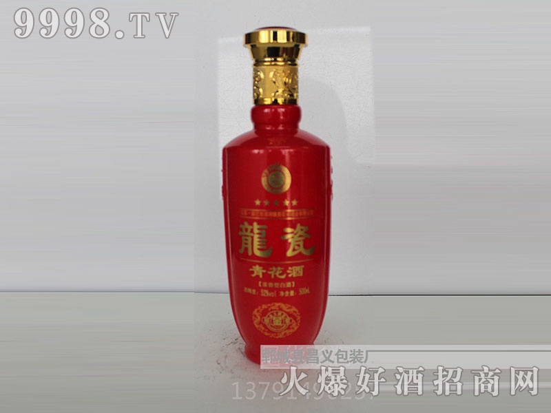 昌义彩瓶CY-134龙瓷