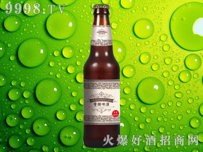 青稞精酿啤酒（瓶）