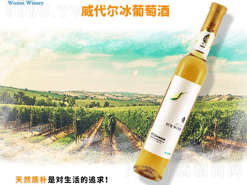�����������Ѿơ�11�� 375ml��-�������Ϣ