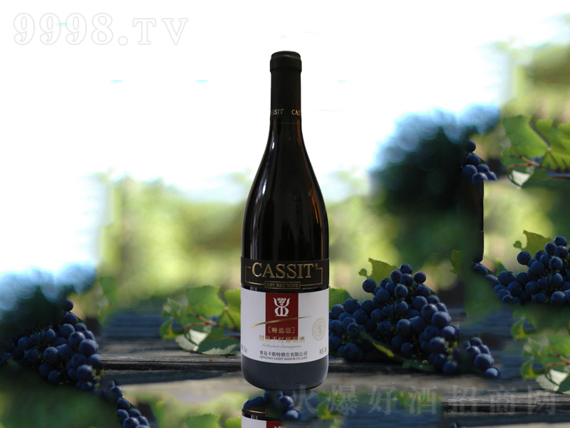 ൺ˹ѡƷɺѾ750ml-Ϣ