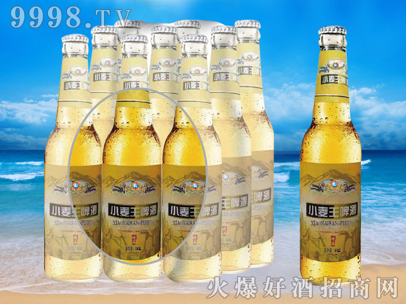 纯生啤酒小麦王啤酒500ml-青杰啤酒