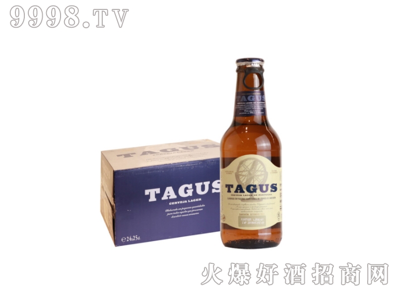 泰谷（TAGUS）欧洲原装进口啤酒泰谷黄啤酒250ml