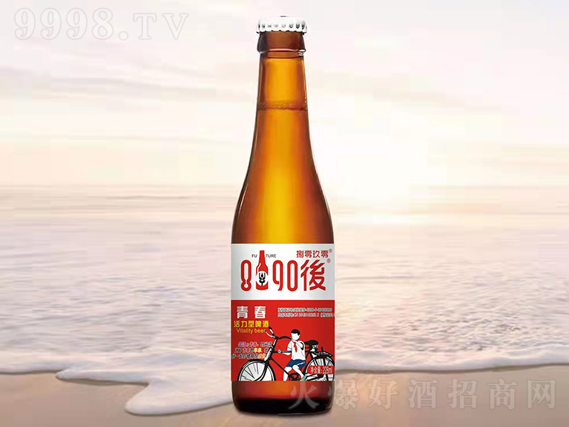 8090后啤酒-青春活力型【228ml】-啤酒招商信息