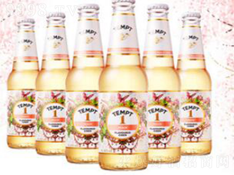 TEMPT-CIDERջ1š4330ml