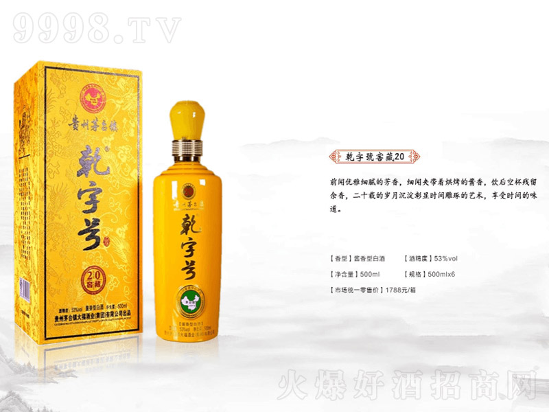 Ǭ�ֺ�V20�Ѳؽ����Ͱ׾ơ�53��500ml��