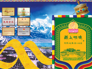 西藏藏上明珠酒运营总部