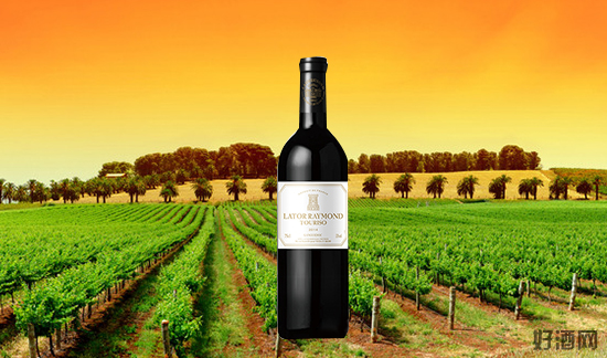 拉图雷蒙城堡碧莎佳妮干红葡萄酒好喝吗 - 火爆