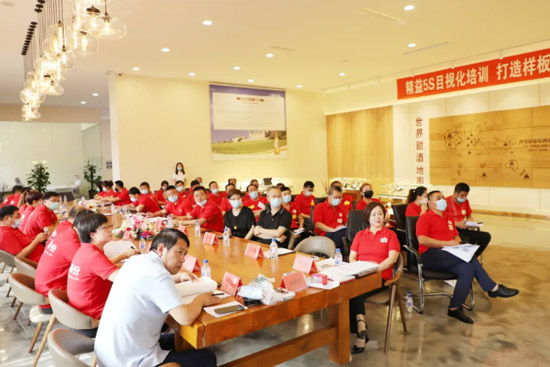 ����5SĿ�ӻ���ѵ ����ͨ�Ϲɷ��������