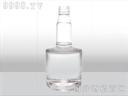 ZH-251ƿ500ml