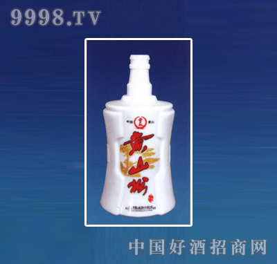 ZH-R029ƿϵ500ml