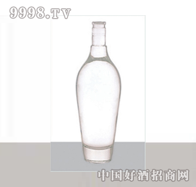 HJ-148-600ml߰ײƿ