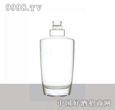 HJ-049-500ml߰ײƿ