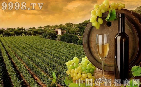 宁夏葡萄酒产业:自然优势助推明星产区_经营