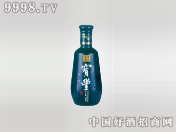 ʤƿSLP-063-500ml