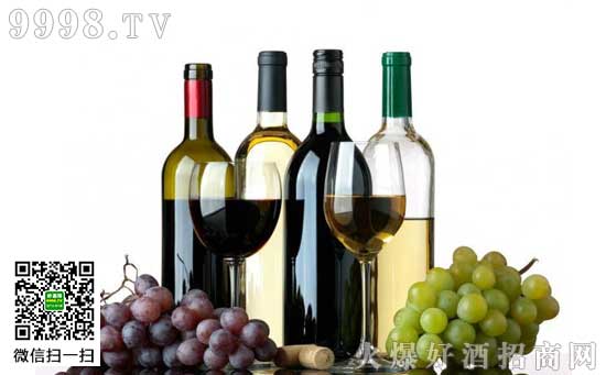 云南省葡萄酒与烈酒流通行业协会成立_南方土