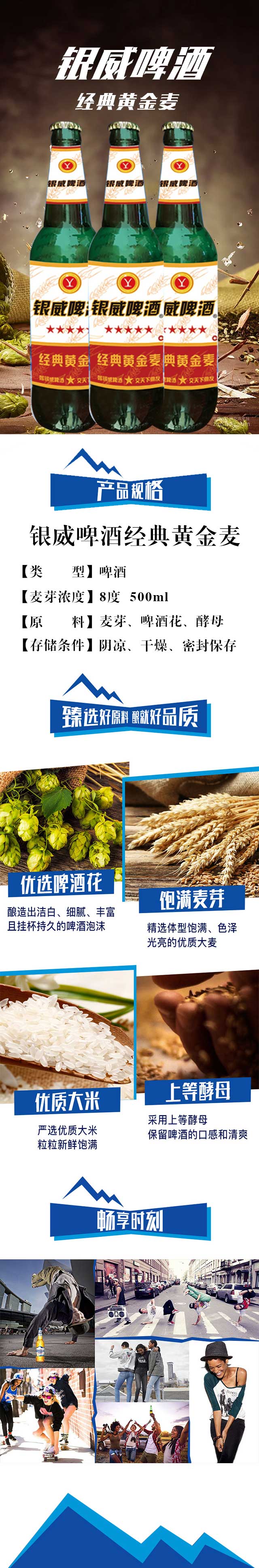 银威啤酒经典黄金麦【8°500ml】