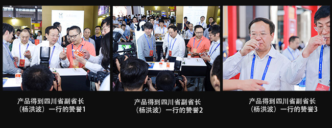 川美酒陶坛老酒10浓香型白酒【52°50