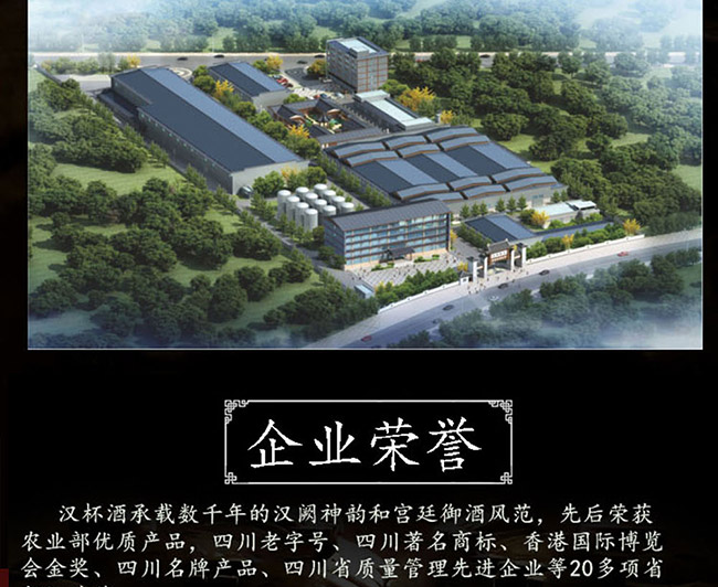 汉杯酒10 50°500ml清香型白酒