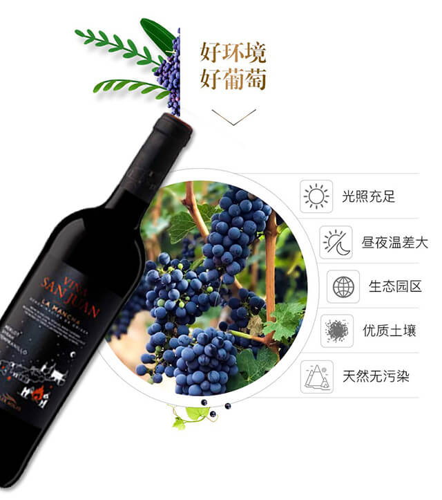 胜幻星星之火干红葡萄酒