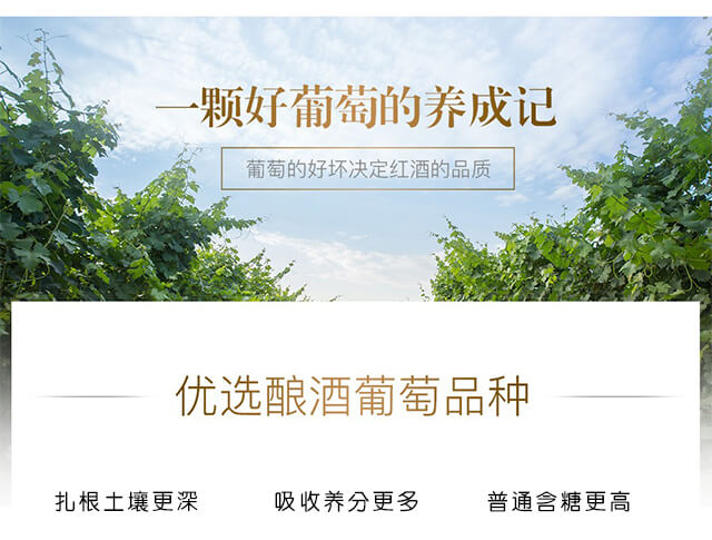 胜幻星星之火干红葡萄酒