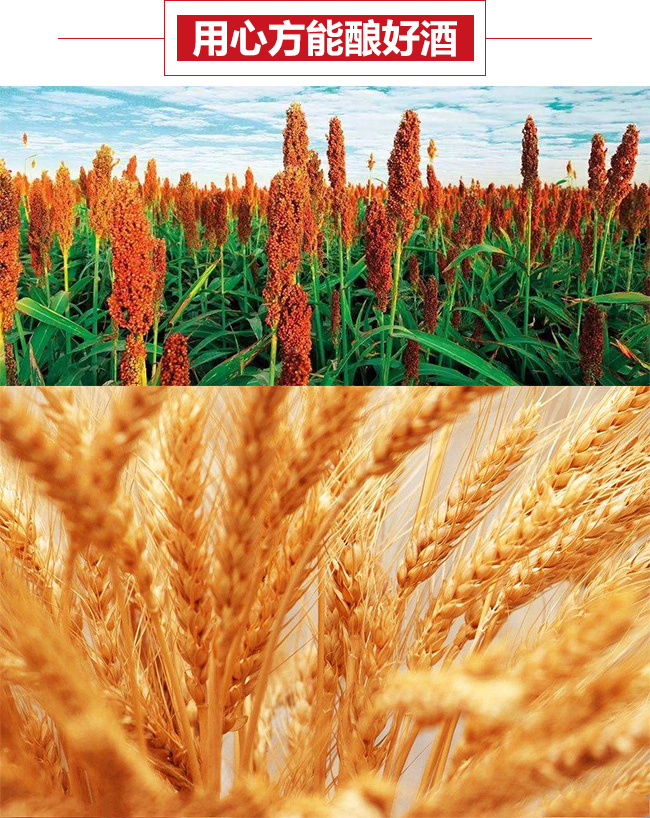 永丰二锅头伯爵酒