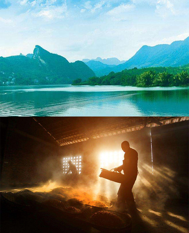 永丰二锅头伯爵酒