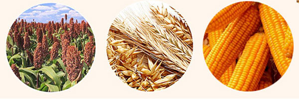 大喜事酒-喜结天下