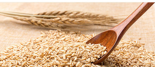 大喜事酒-喜结天下