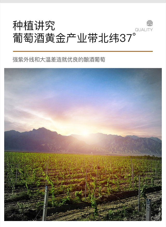 类人首R1干红葡萄酒