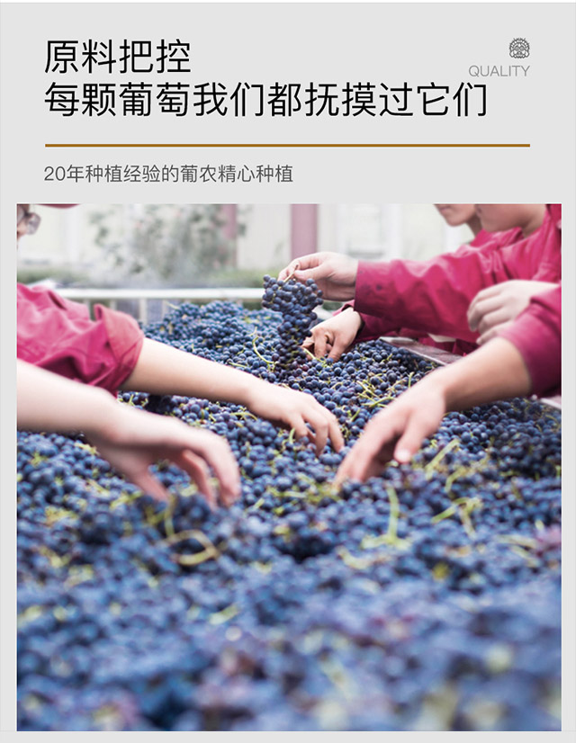 类人首R1干红葡萄酒