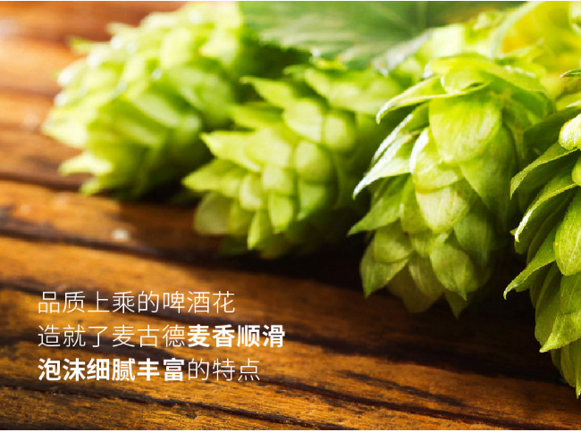 ��˹���г�ơ�ƾ���IPA��11.2��218mL��