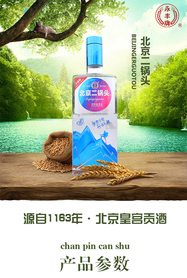 永丰牌北京二锅头酒方圆升级版42°500ml清香型白酒