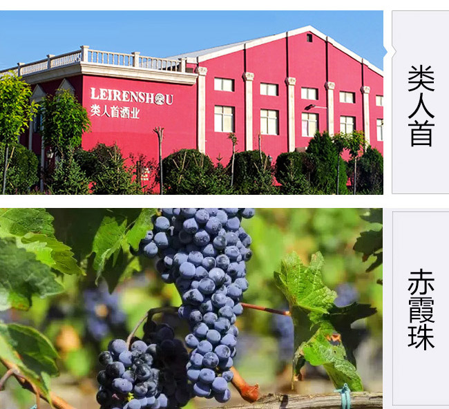 类人首果香型赤霞珠干红葡萄酒13°750ml