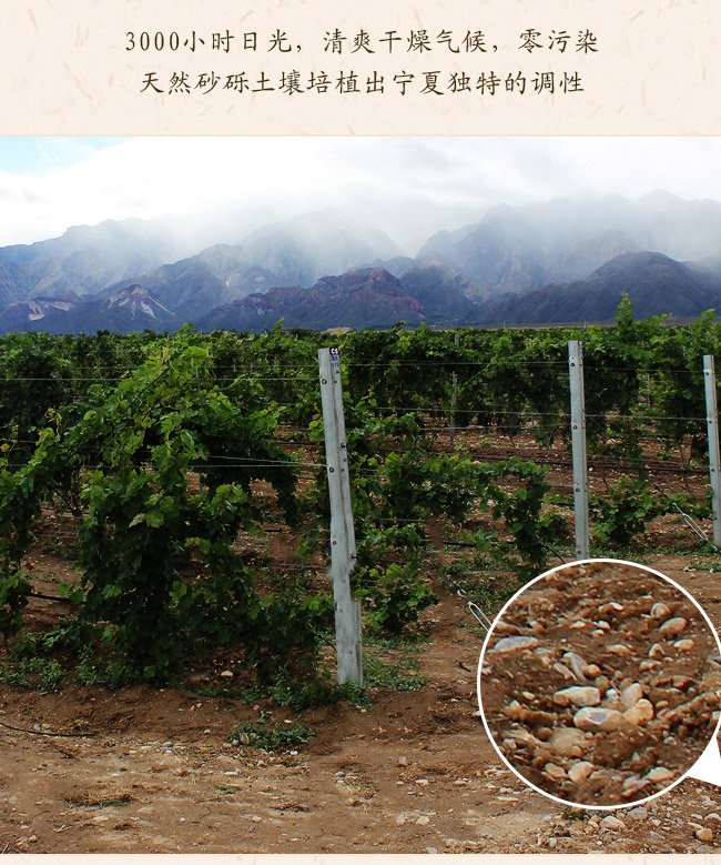 类人首钻石赤霞珠干红葡萄酒12.8°750ml