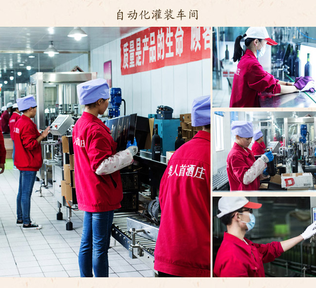 类人首钻石赤霞珠干红葡萄酒12.8°750ml