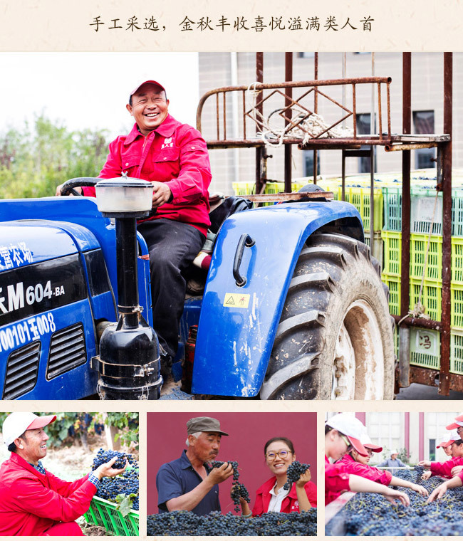 类人首钻石赤霞珠干红葡萄酒12.8°750ml