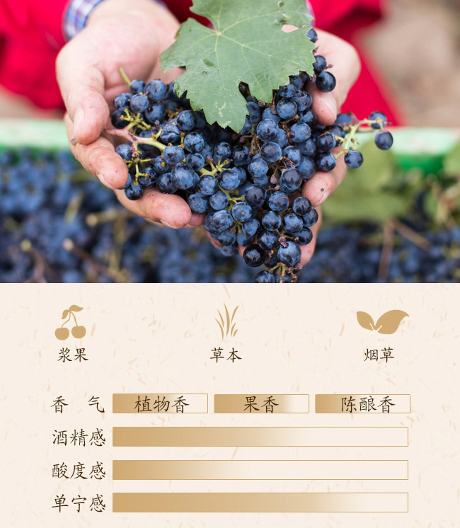 类人首钻石蛇龙珠干红葡萄酒