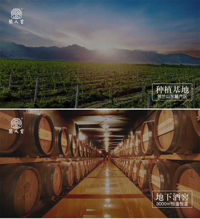 类人首钻石黑比诺干红葡萄酒12.5°750ml