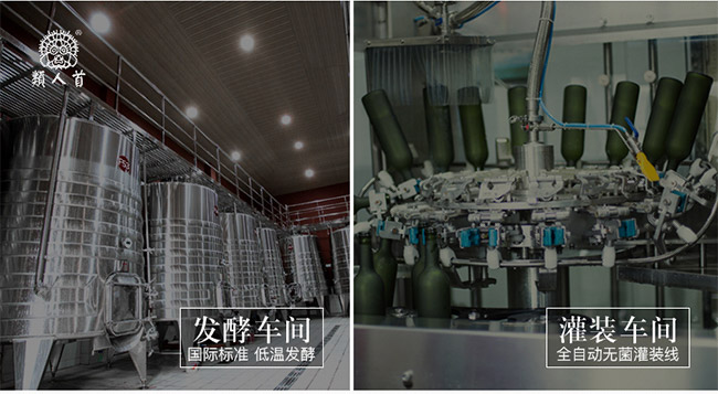 类人首钻石黑比诺干红葡萄酒12.5°750ml